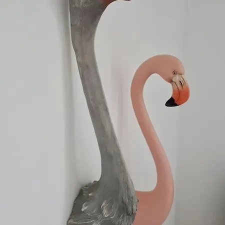 Direction Sud ! Apartman